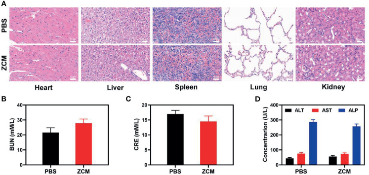 Figure 4