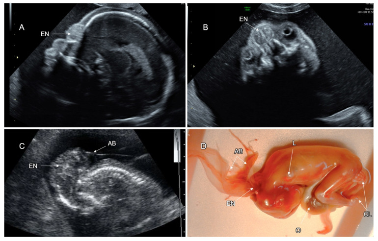 Figure 6