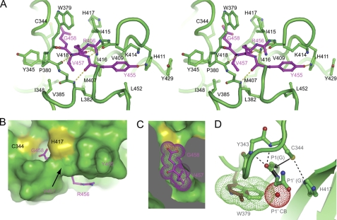 FIGURE 2.