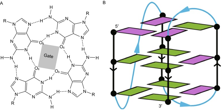 Figure 1