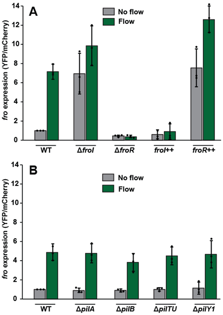 Fig. 3: