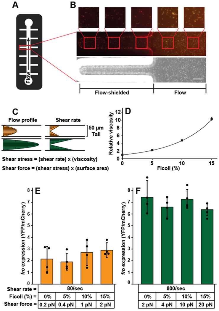 Fig. 4: