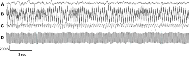 Fig. 5.