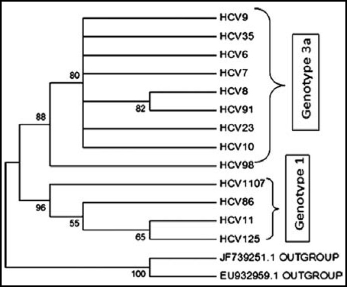 Fig.1