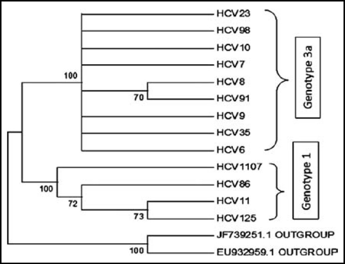 Fig.2