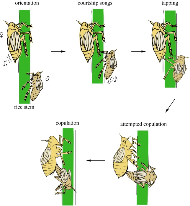 Figure 10.