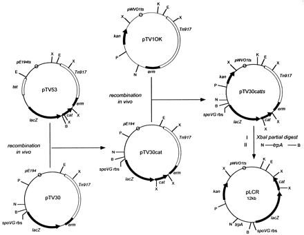 FIG. 1