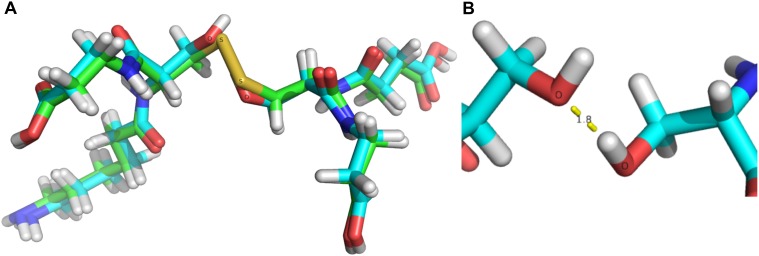 Fig 6