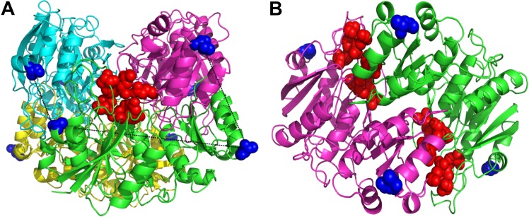 Fig 1