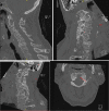 Fig. 2