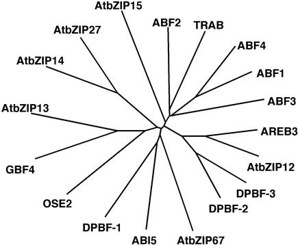 Figure 2.