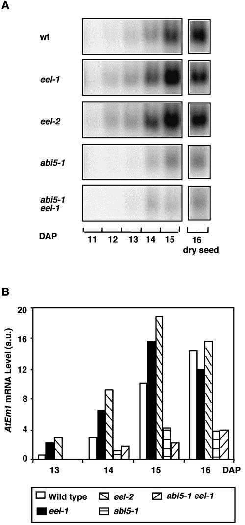 Figure 7.