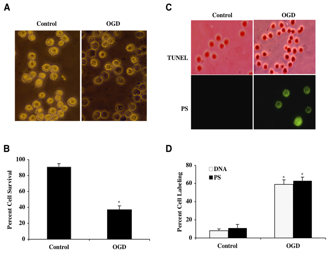 Fig. (1)