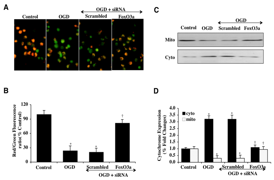 Fig. (7)