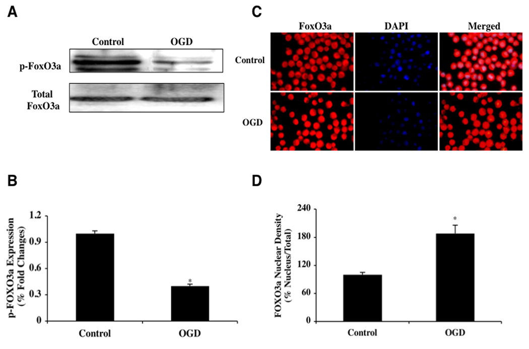 Fig. (3)