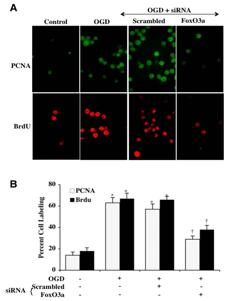 Fig. (6)