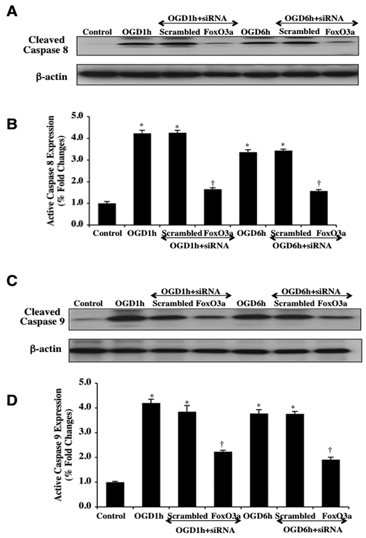 Fig. (9)