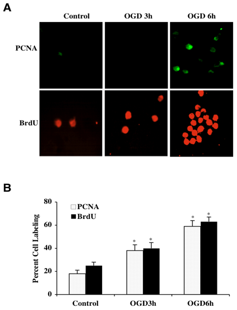 Fig. (2)