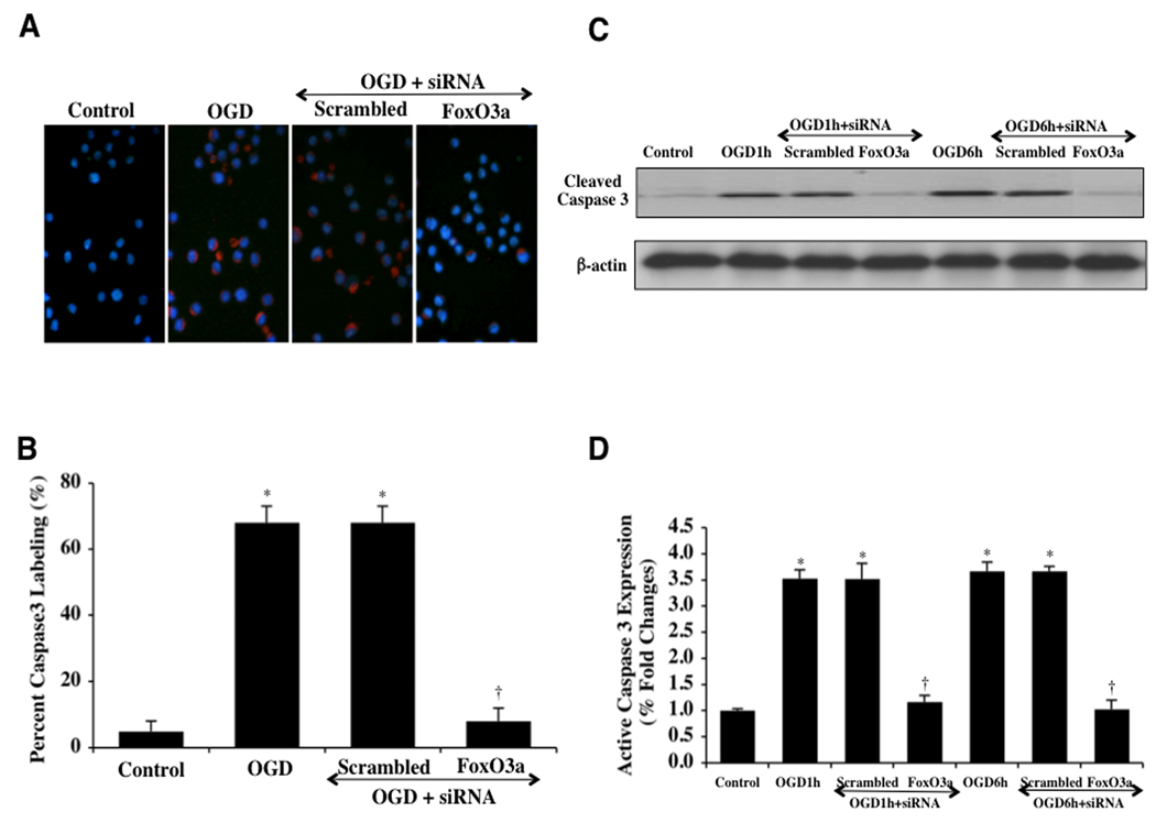 Fig. (8)