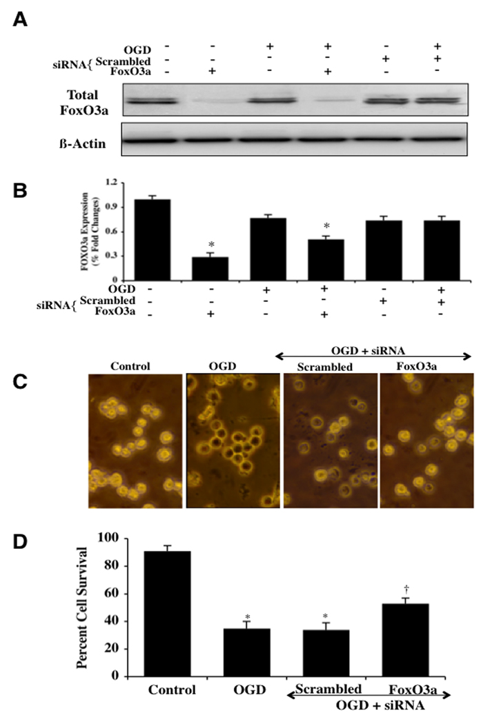 Fig. (4)