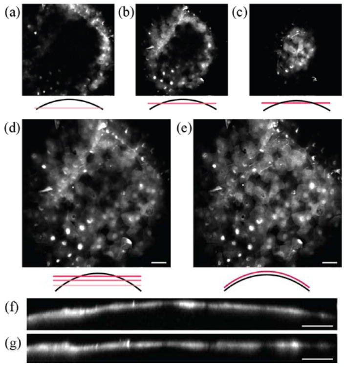 Fig. 4