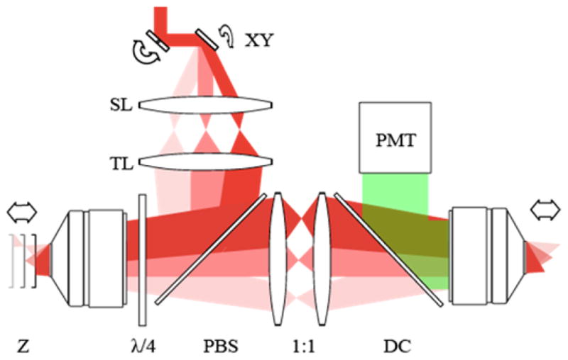 Fig. 1