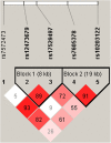 Fig 2