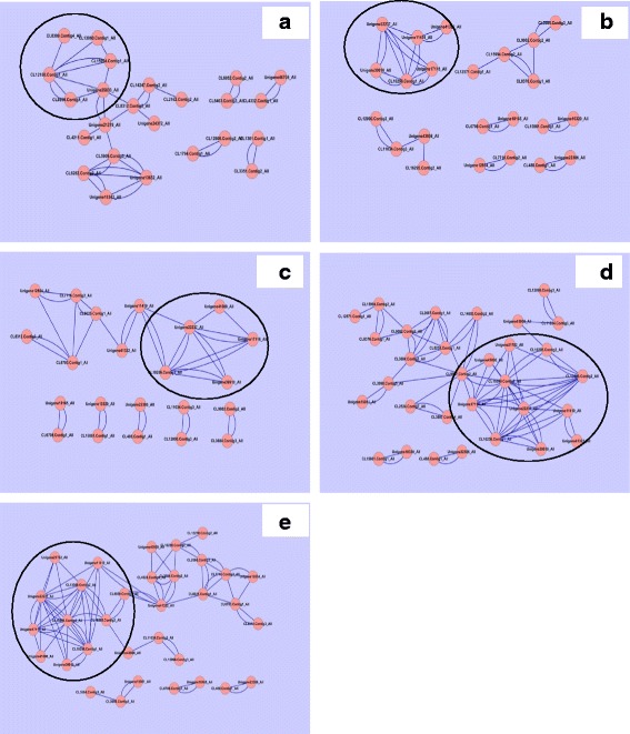 Fig. 18