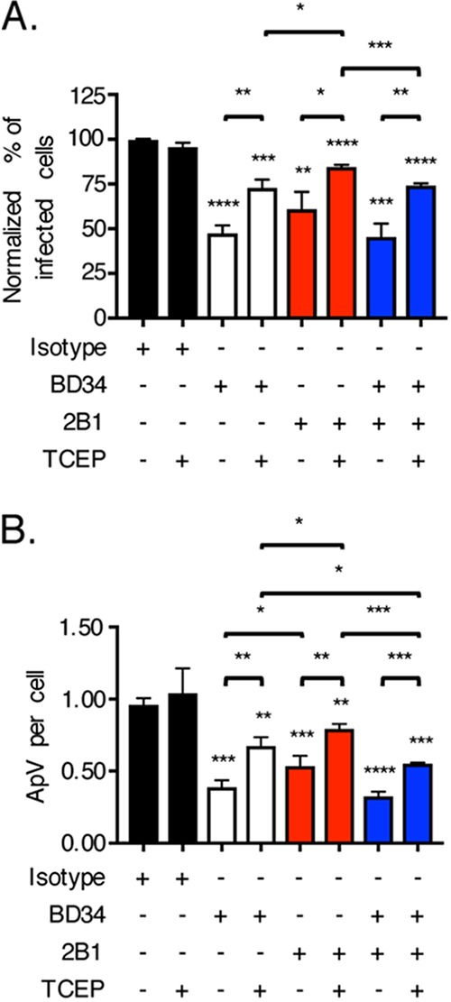 FIG 5