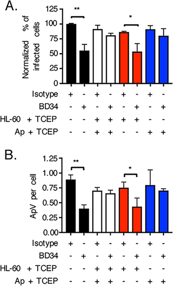 FIG 4