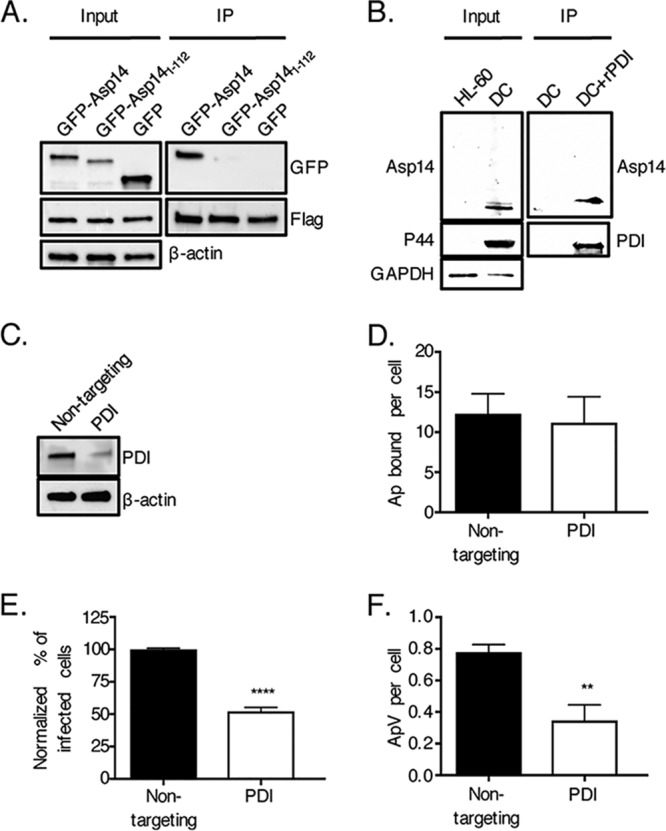 FIG 1