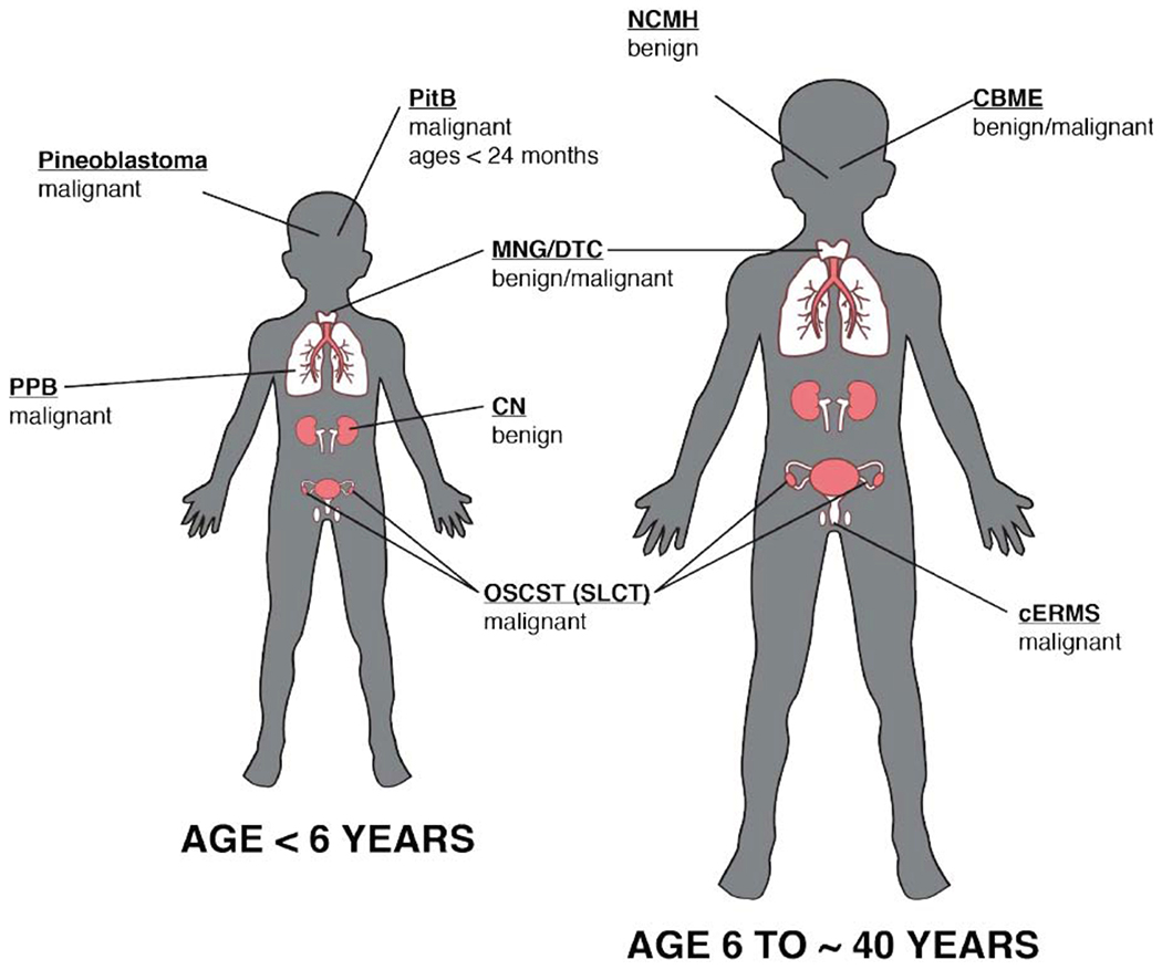 Fig. (2).