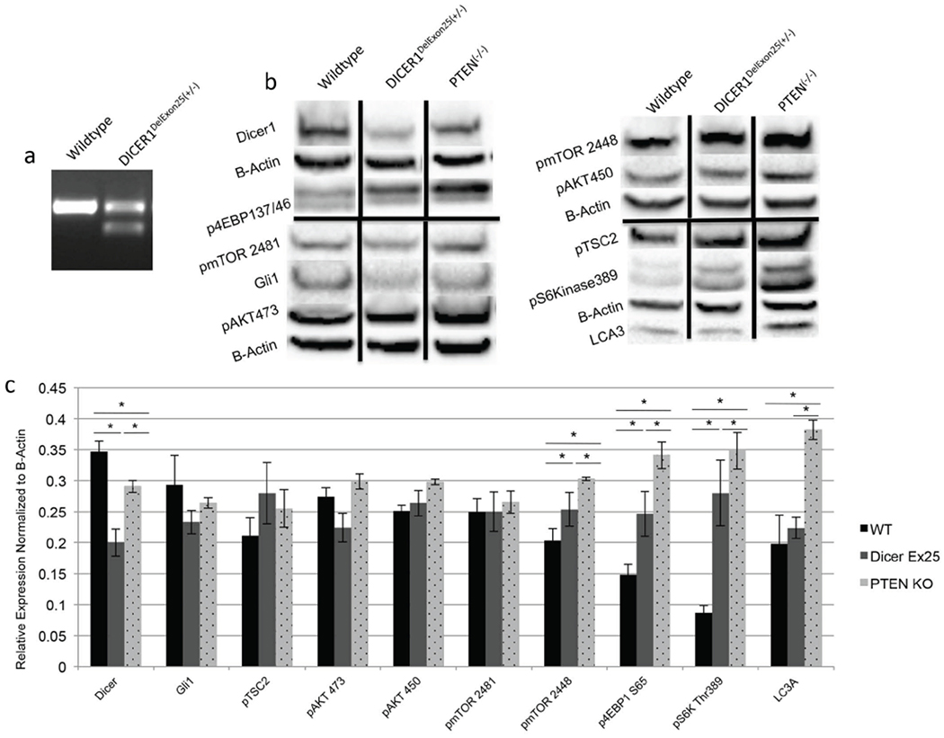 Fig. (4).