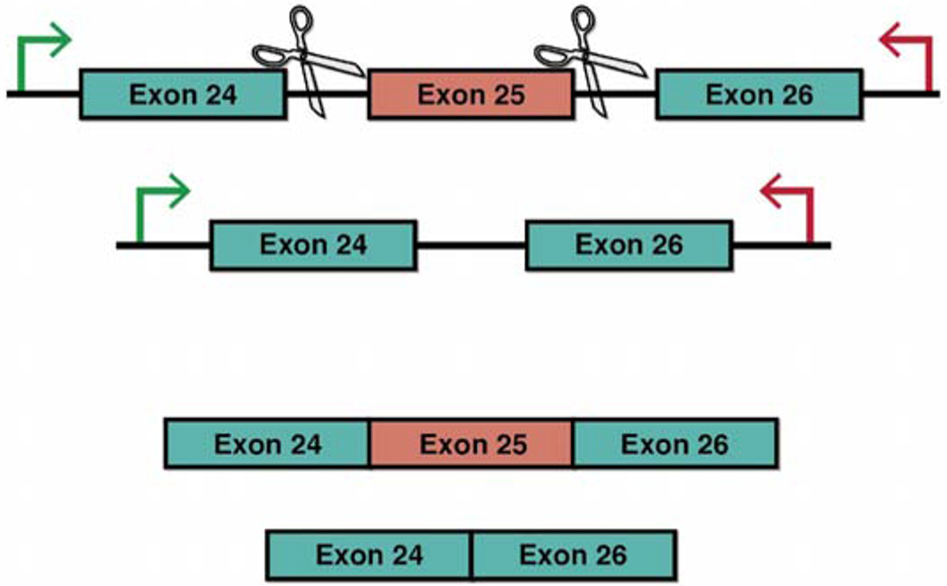 Fig. (3).