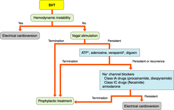 Figure 33