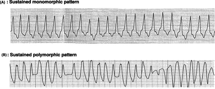 Figure 24