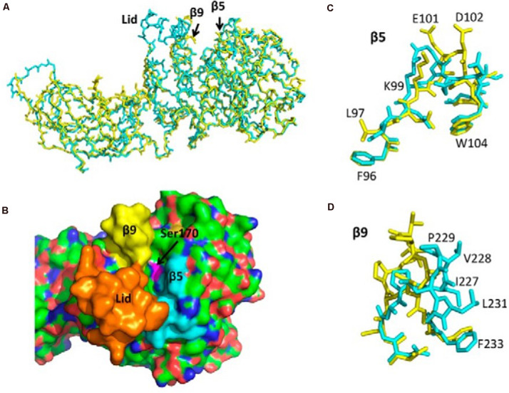 FIGURE 2