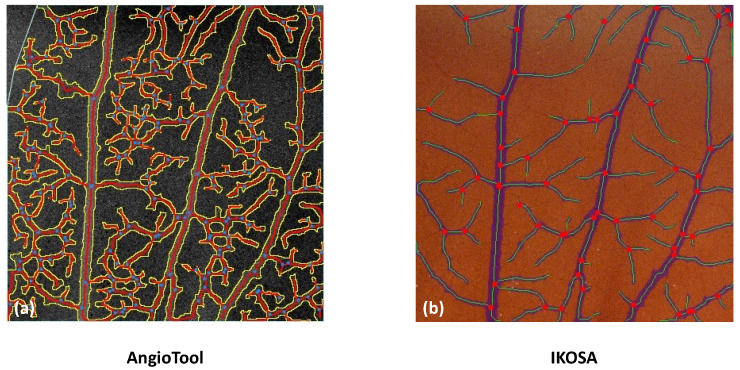 Figure 7