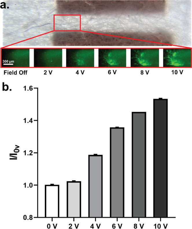 Figure 7