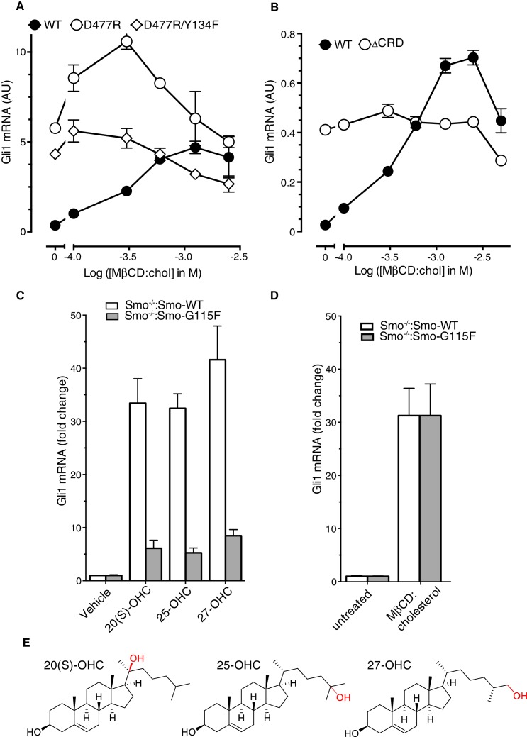 Figure 4—figure supplement 1.