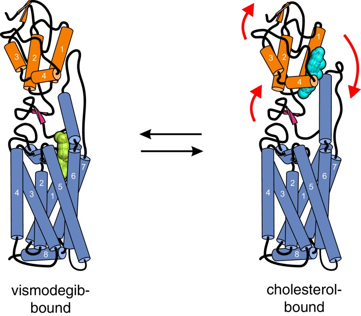 Figure 6.