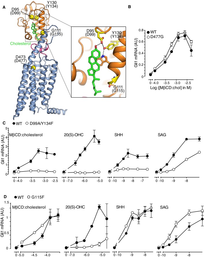 Figure 4.