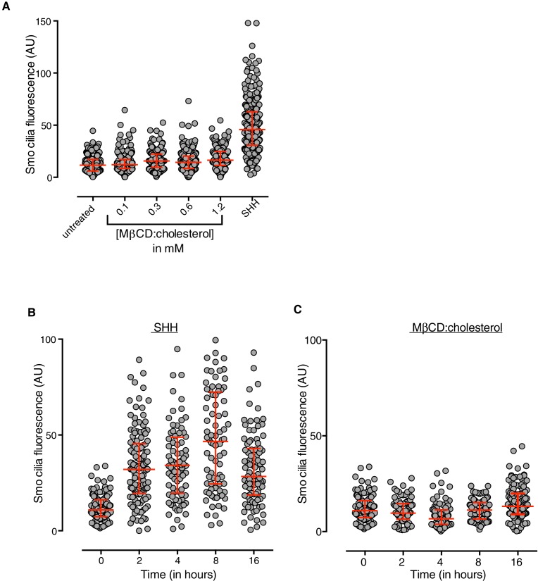 Figure 3—figure supplement 1.