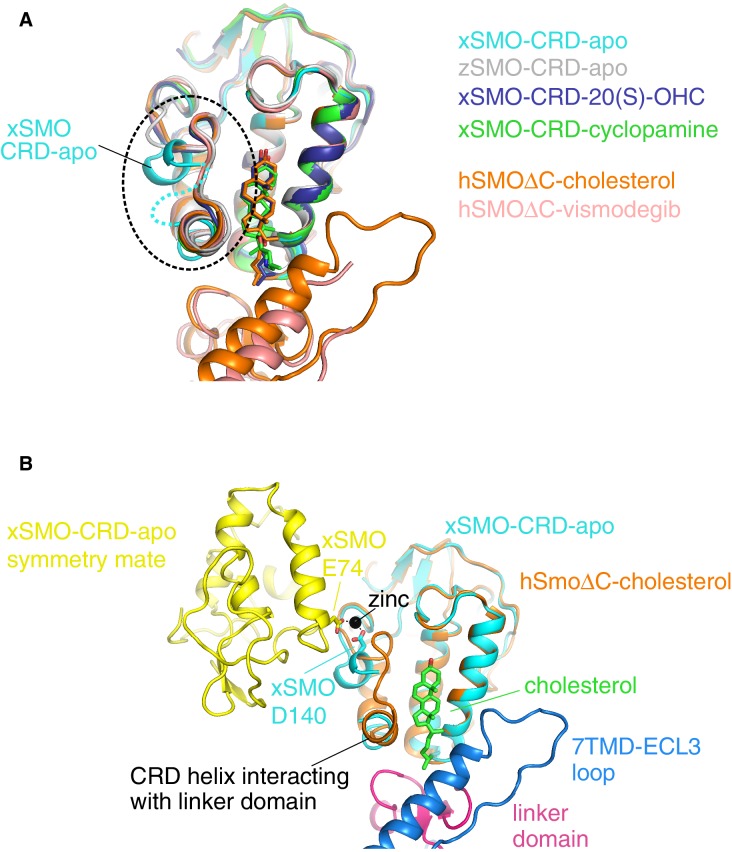 Figure 6—figure supplement 1.