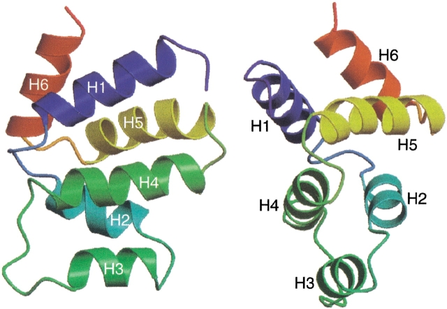 Fig. 2.