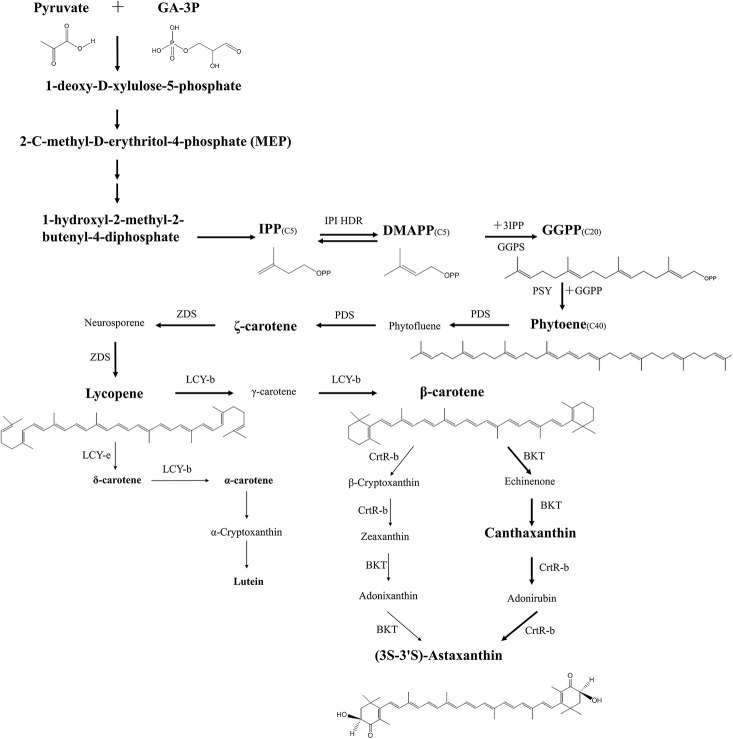 Figure 7