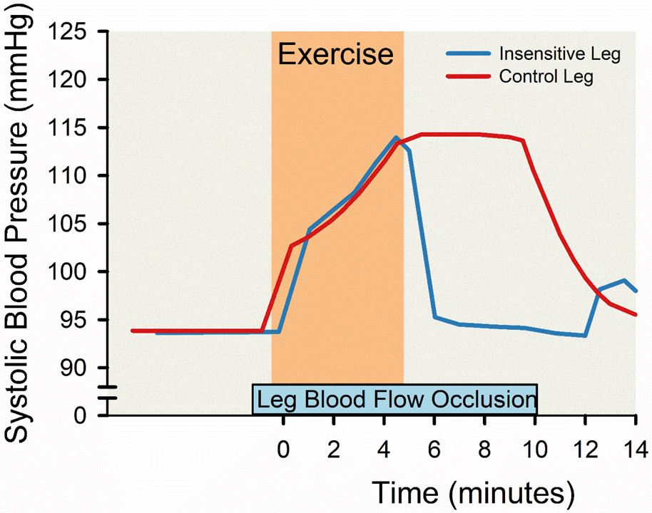 Figure 13.