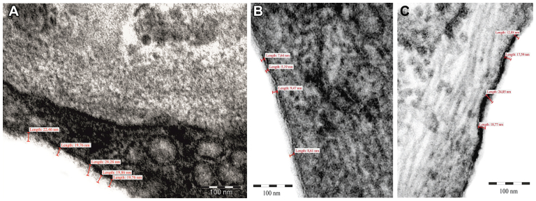 Fig 6