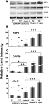 <b>Figure 5.</b>