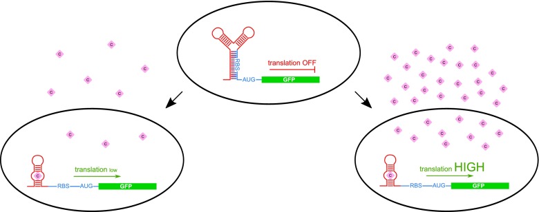 Fig. 3